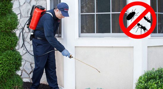 Tekman Fare İlaçlama böcek ilaçlama ve haşere kontrolü — ilaclama-tr.com
